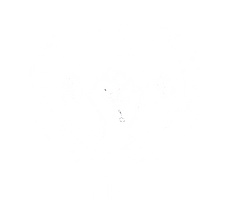 00- Collection W.png