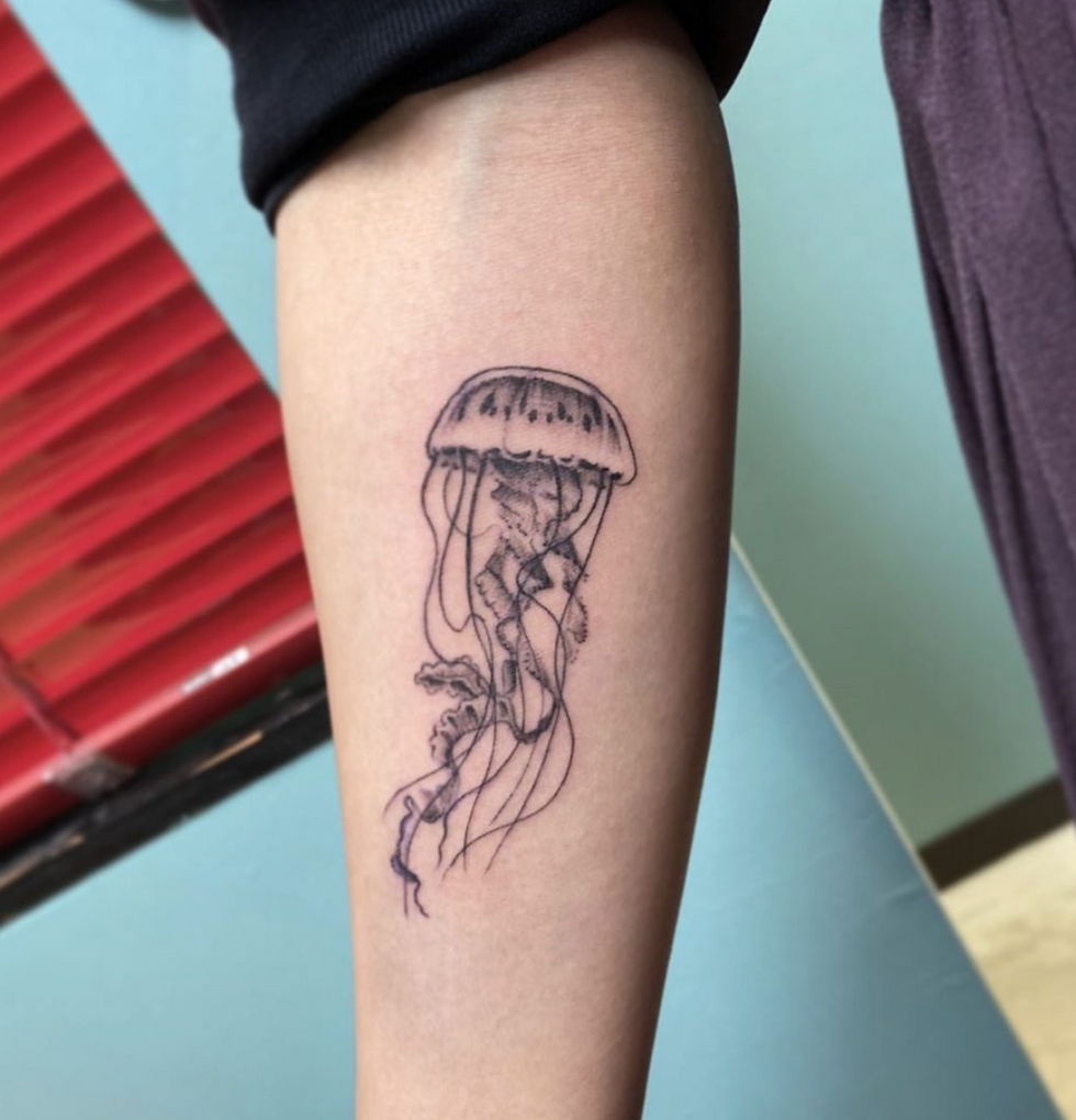 Jelly Fish