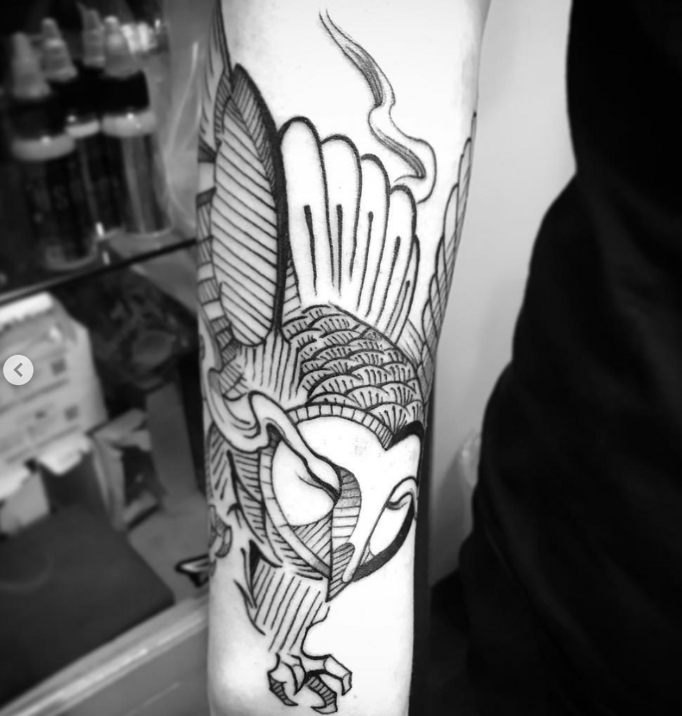 owl