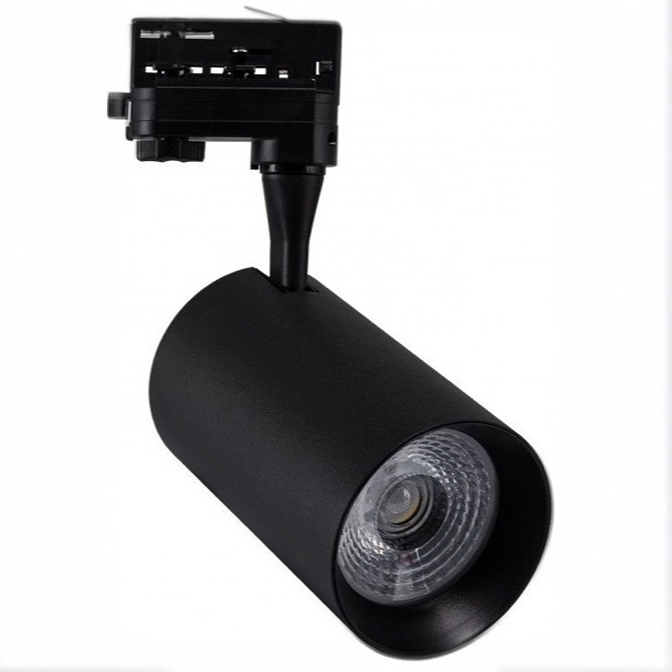 Miniatura: Faretto Binario Trifase 30W 4000K - Nero Serie Eco