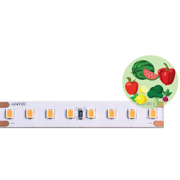 Strip LED flex 140led/m 2835 IP20 frutta e verdura luce naturale 4000K full