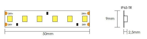 Strip LED flex 140led/m 2835 Samsung IP65-tr luce fredda 6500K 14,4W/m 24V 2000