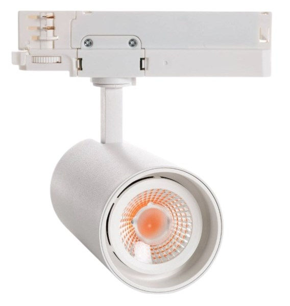 Faretto binario trifase bianco LED 30W IP20 luce alimentare per carne