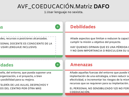 DAFO ACTUACIONES COEDUCATIVAS.