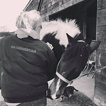 A saddler with a horse.