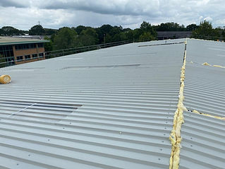 Flat sheet metal roof with ribbed panels extends towards trees