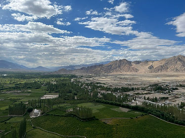 WhatsApp Image 2022-08-24 at 16.17.05 (1).jpeg