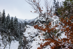 Screen Shot 2019-11-18 at 15.04.12