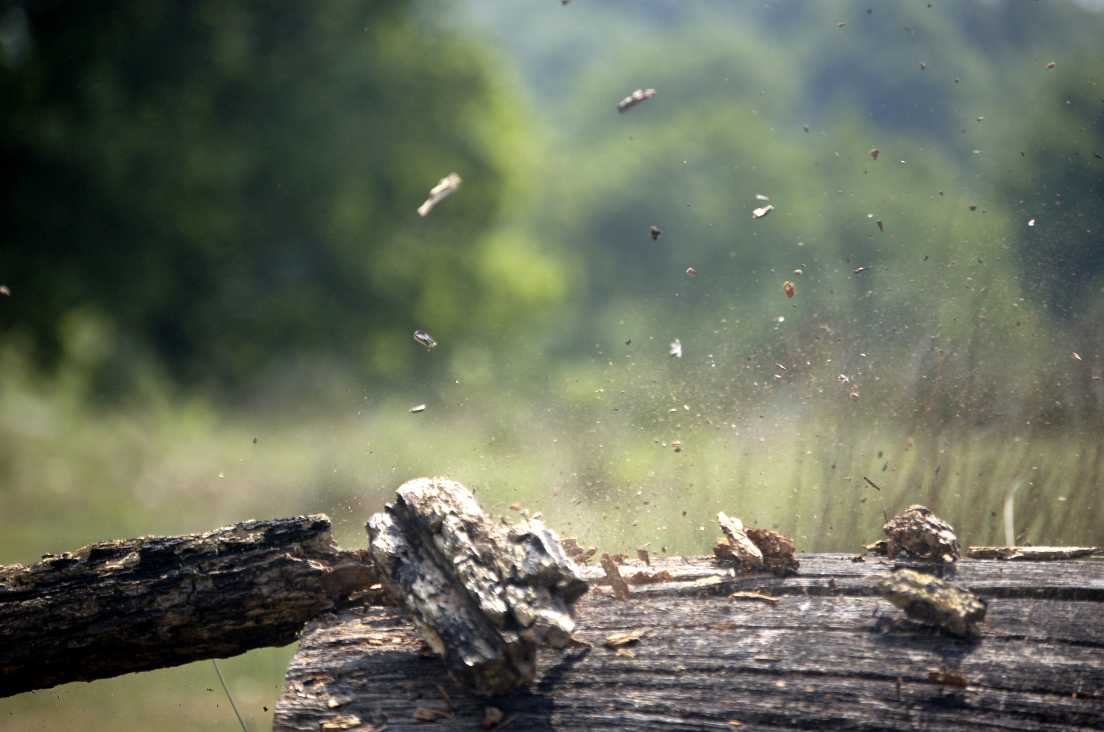 Wood Explosions photography