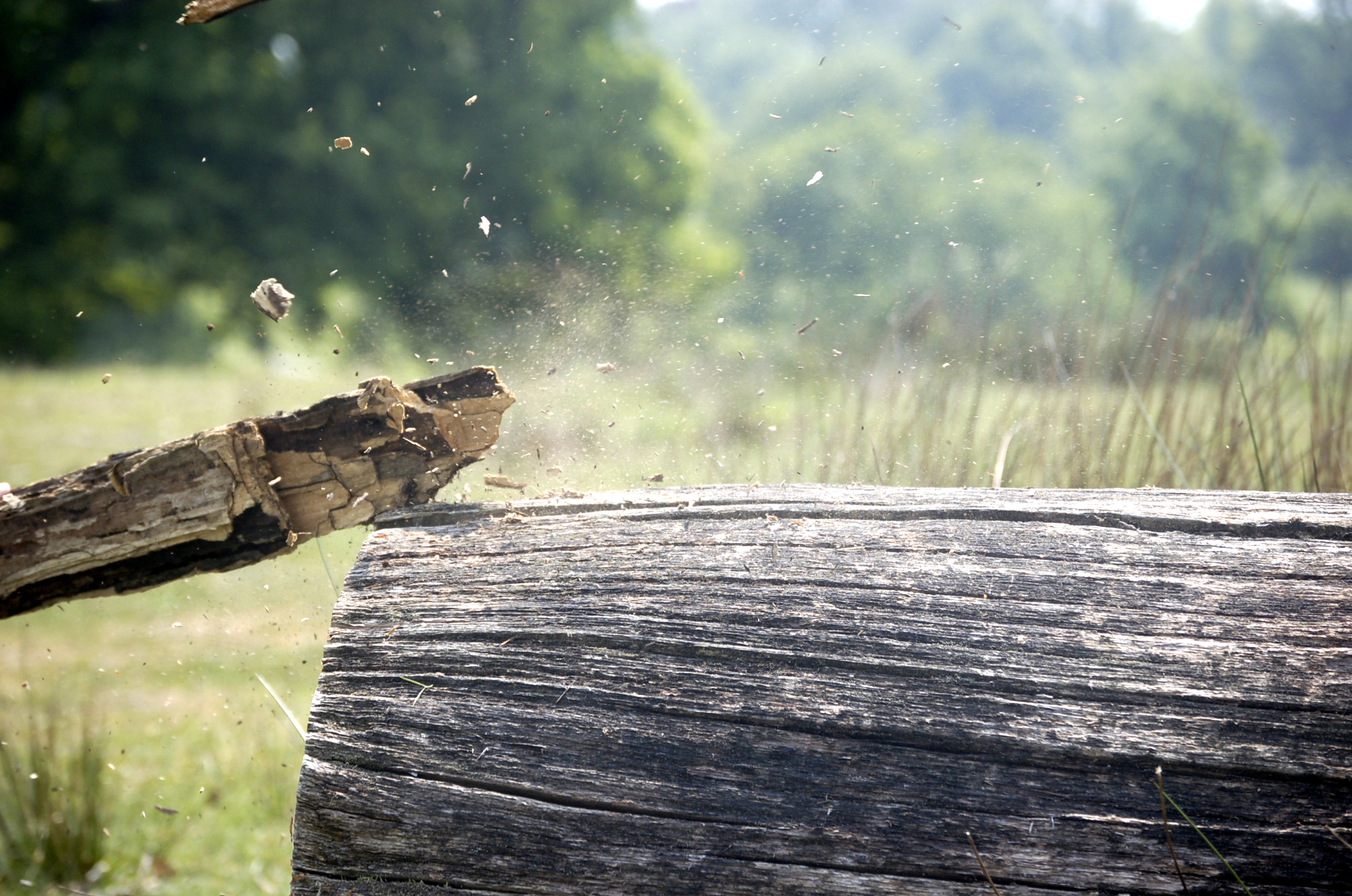 Wood Explosions photography