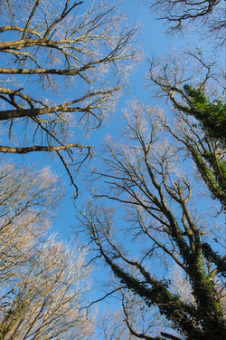 Haysden, Tonbridge 1