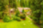 topview.jpg