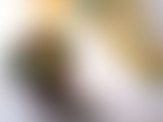 國外旅遊警示分級是什麼?一篇看懂外交部旅遊警示等級、顏色與注意事項