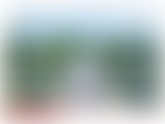 熊本星宇直飛熊本城、阿蘇黑川秘境、九重夢大吊橋、懷舊日田豆田町溫泉、三大螃蟹美食5日