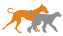 Canine Health & Mobility