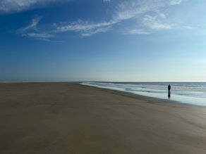 When the Coast is Clear