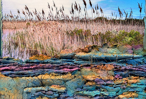 Reeds is a collage made using a photo and handmade paper