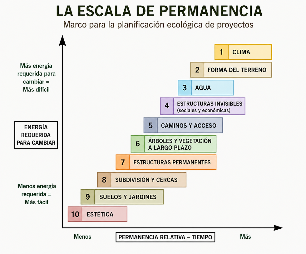 La escala de permanencia - adaptada para el diseño ecologico de One Regeneration