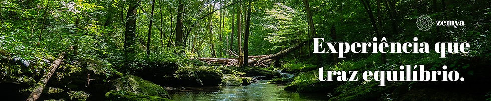 floresta, árvore, rio, natureza, zemya