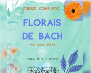 Conheça os Florais de Bach e como utilizá-los em sua vida- Florais de Bach - Completo
