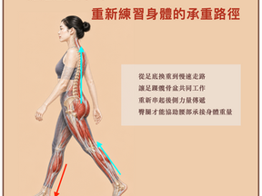 從腳底到下背：重新練習身體的承重路徑