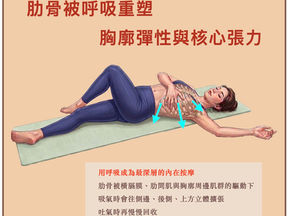 肋骨被呼吸重塑 胸廓彈性與核心張力