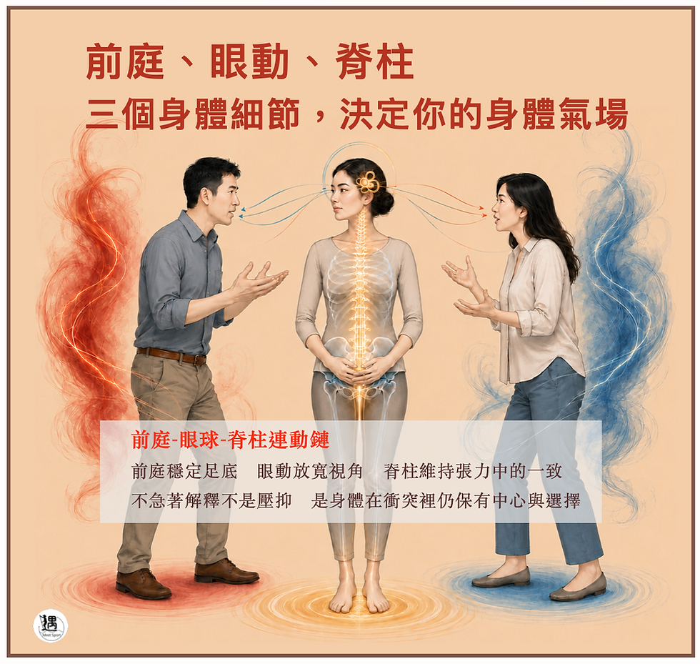 前庭、眼動、脊柱三個身體細節，決定你的身體氣場