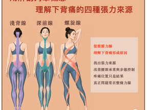 用解剖列車概念,理解下背痛的四種張力來源