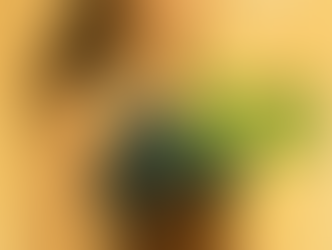 如何從腹橫肌內收?持續深層的核心穩定呢?