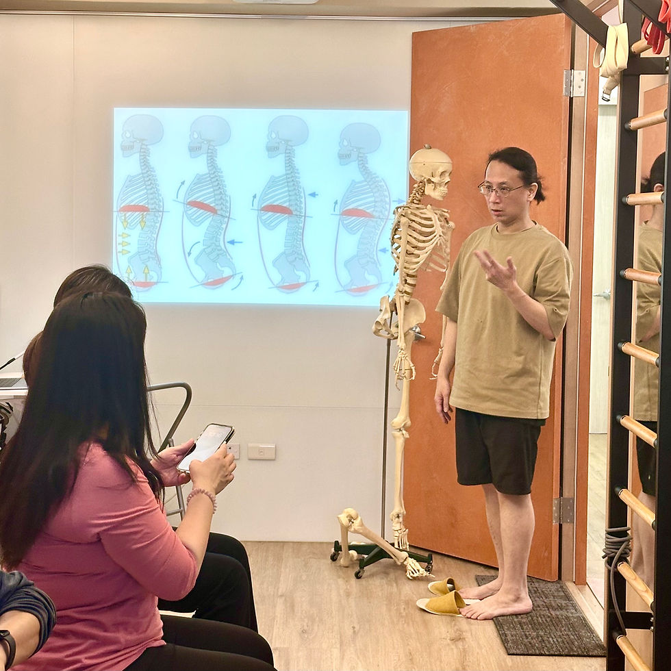 關於身體力線結構