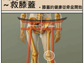 是什麼思維?讓我的膝蓋痛用骨盆正位緩解