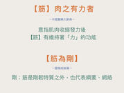 拉筋!拉到的筋,是什麼?