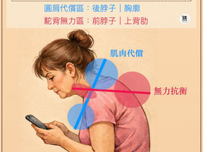 為什麼聳肩不能像一般關節動作「說放下就放下」?