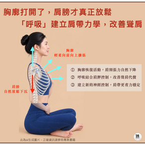 胸廓打開了,肩膀才真正放鬆「呼吸」建立肩帶力學,改善聳肩習慣