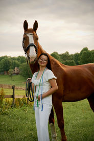 Portrait - Horse and Rider