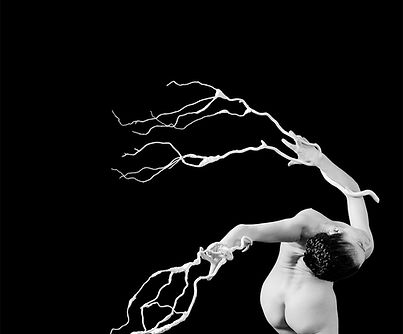 Maureen Fleming's_Axis Mundi_photo ©Lois Greenfield.jpg