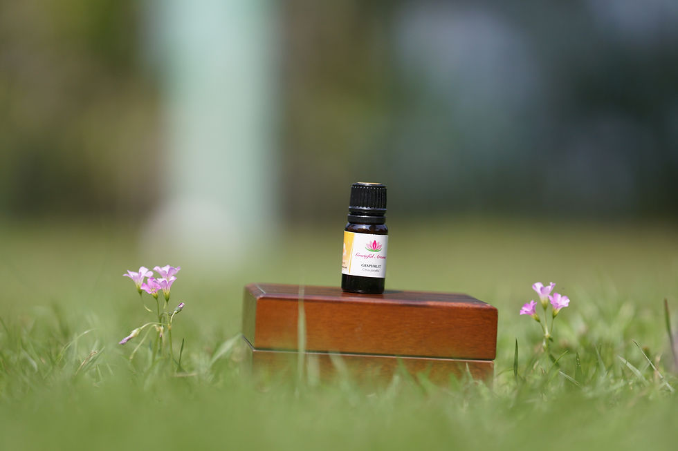 說不完的感謝﹗