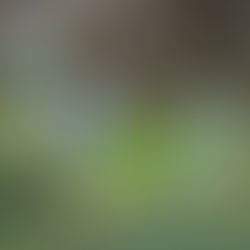 精油，真的可以讓你放鬆？