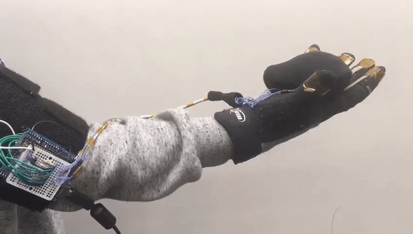 Ditto Stroke Rehabilitation System - A Low-cost Hand Grasping Training Program