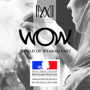 Interview for the French Embassy