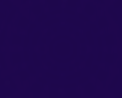 fondo2.png
