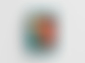 島嶼研究網絡（香港） 