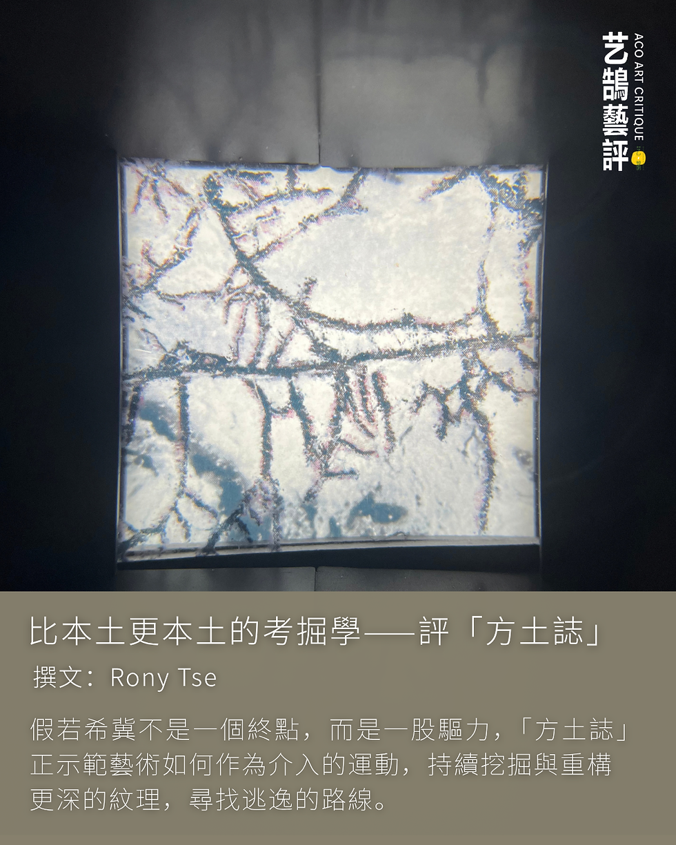 比本土更本土的考掘學——評「方土誌」