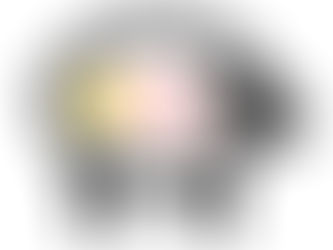 Special Announcement 