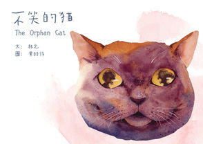 不笑的猫
