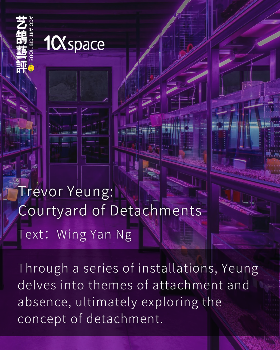 Trevor Yeung: Courtyard of Detachments