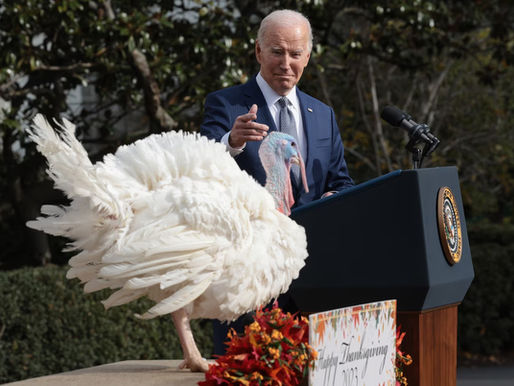 Turkey Pardons Explained: Why Does the American President Spare a Bird Every Year?