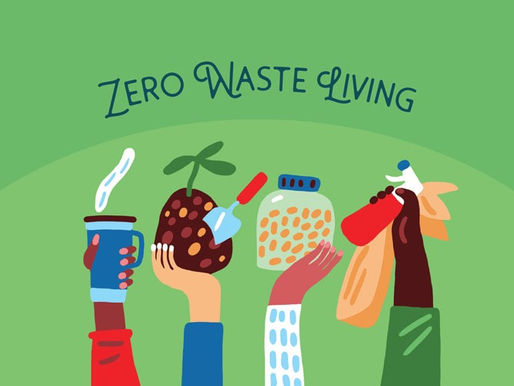 Exploring Zero Waste: How to Live More Sustainably