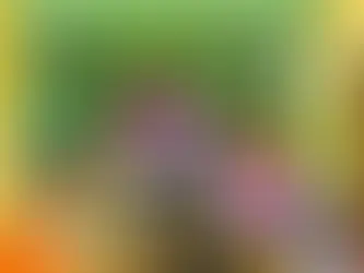 The Most Common English Phrases Teachers Use (And What They Mean)