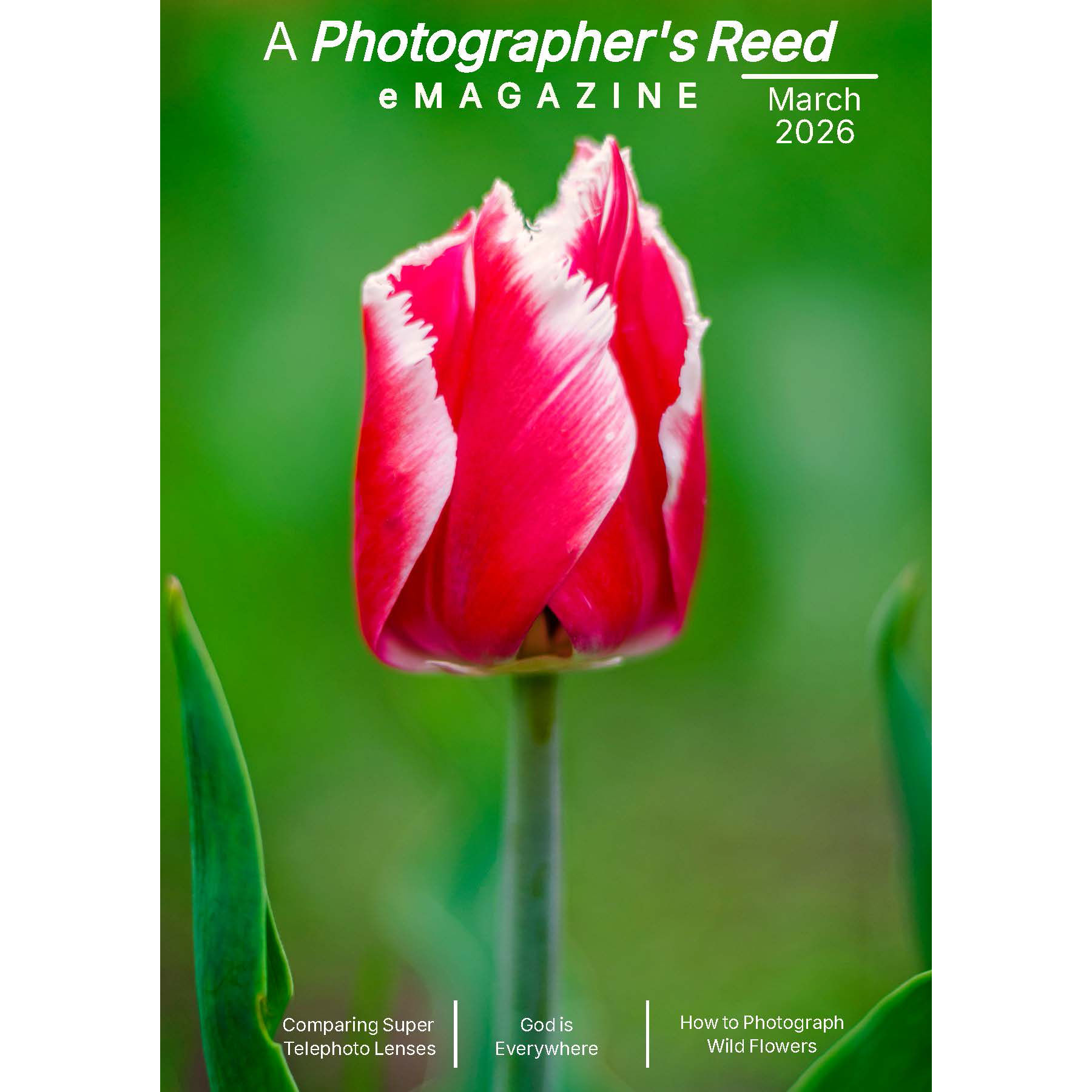 "A Photographer's Reed" - eMagazine